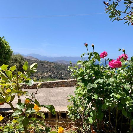 Morea Bay View Tourlotí المظهر الخارجي الصورة