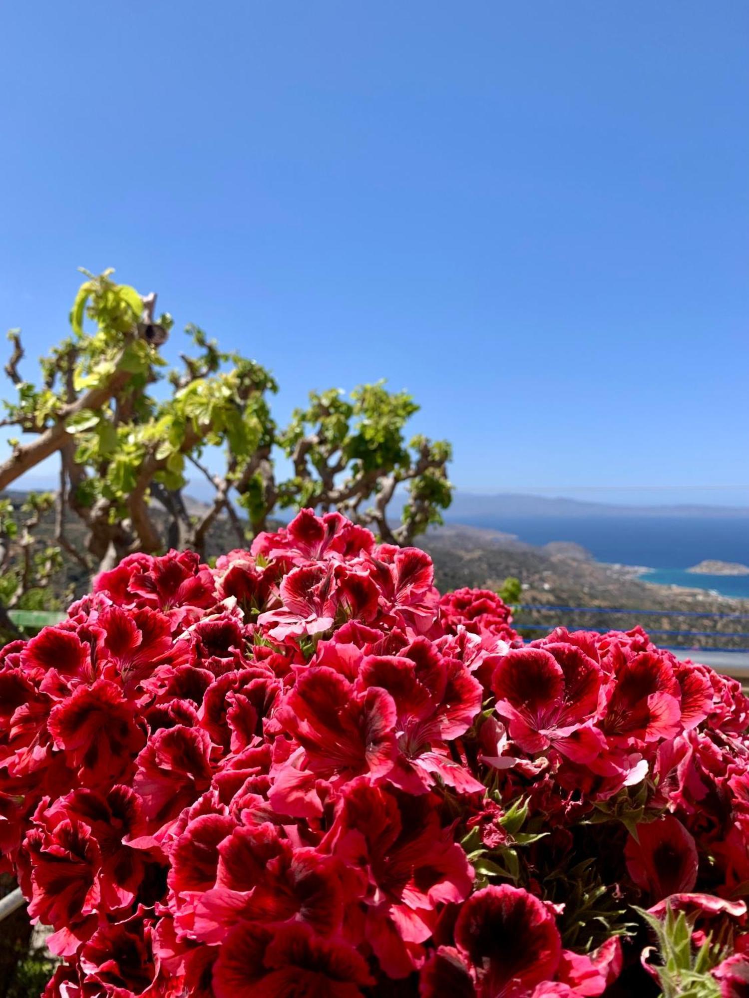 Morea Bay View Tourlotí المظهر الخارجي الصورة