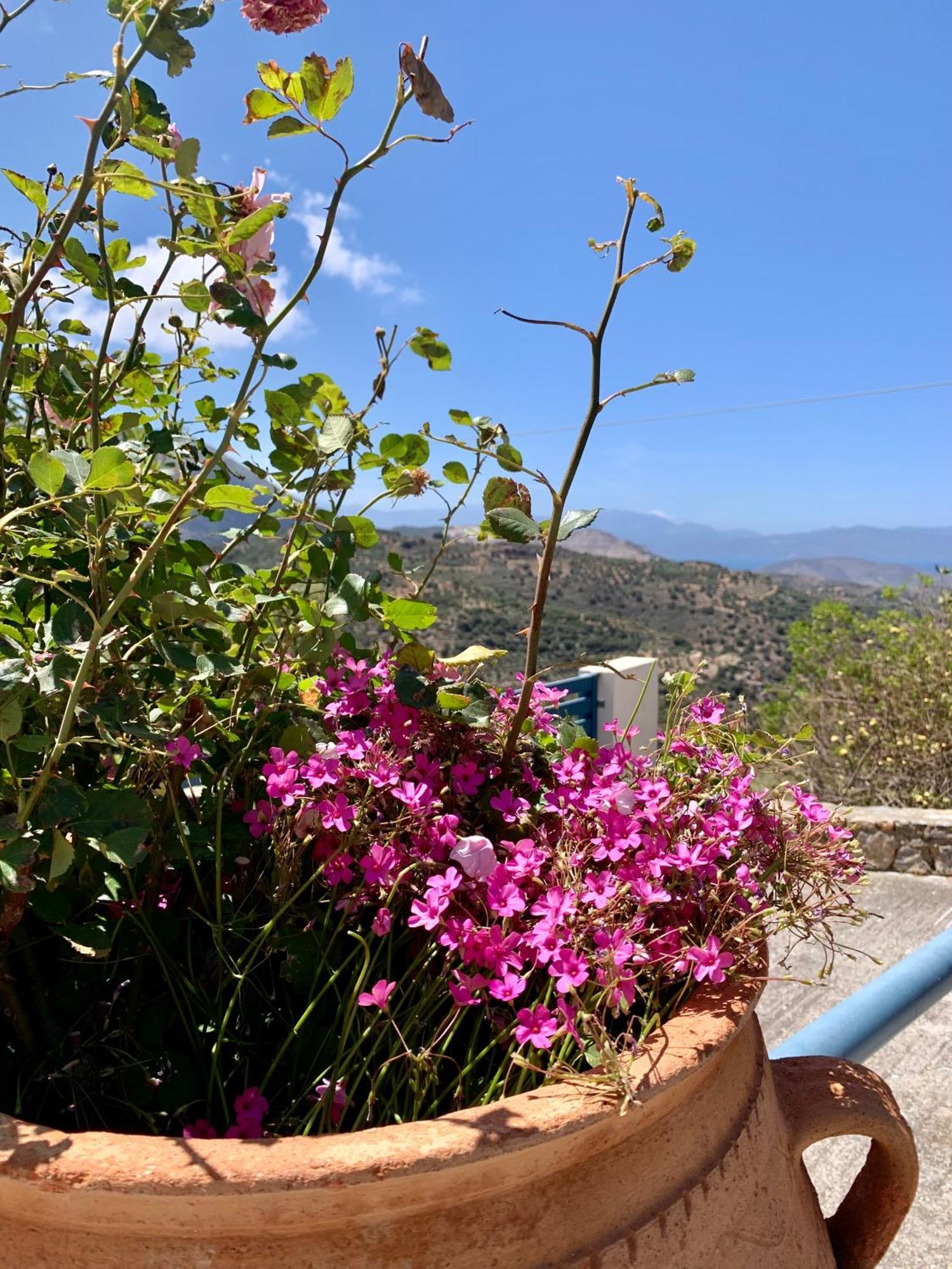 Morea Bay View Tourlotí المظهر الخارجي الصورة
